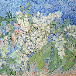 Kunst Ausstellung Van Gogh in Potsdam