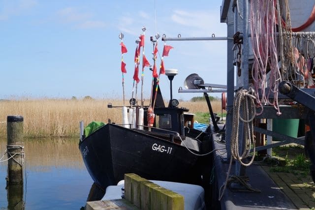 Hafen Gager