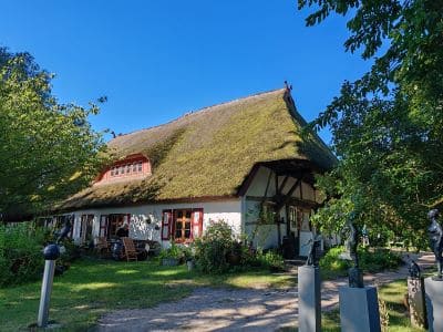 Dornhaus heute