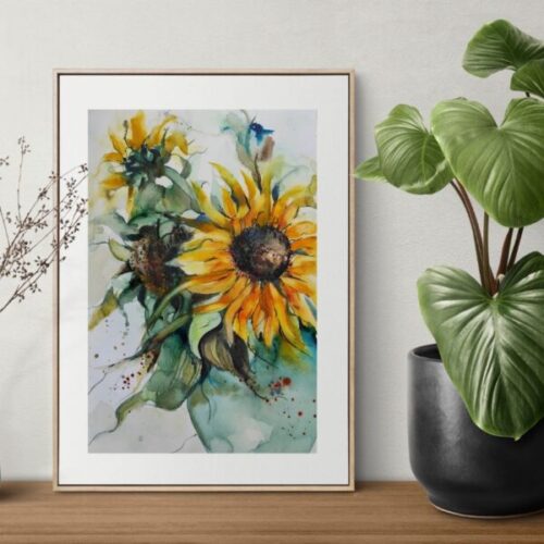 Sonnenblume pro