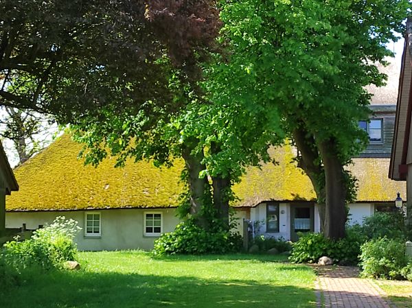 Wustrow barnsdorf1