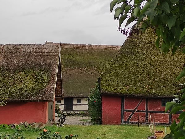 Wustrow barnsdorf
